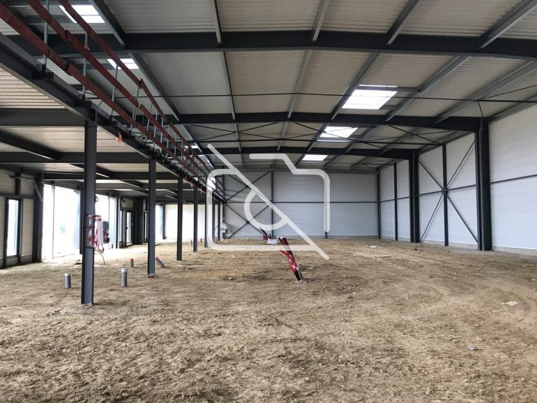 Entrepôt à louer à Tigery - 436 m²
