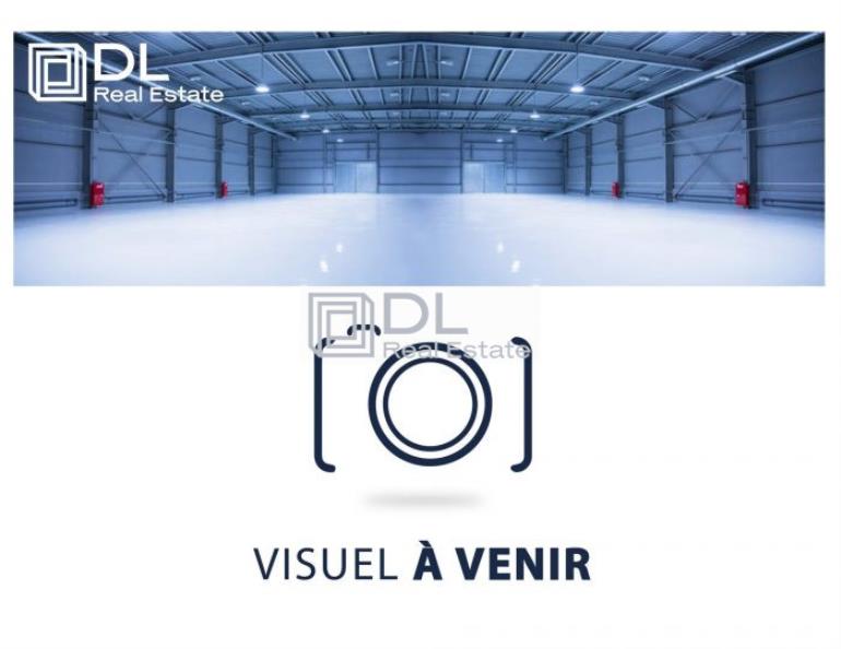 Entrepôt à louer à Villeneuve-Saint-Georges - 240 m²