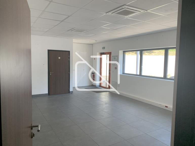 Entrepôt à louer à Palaiseau - 707 m²