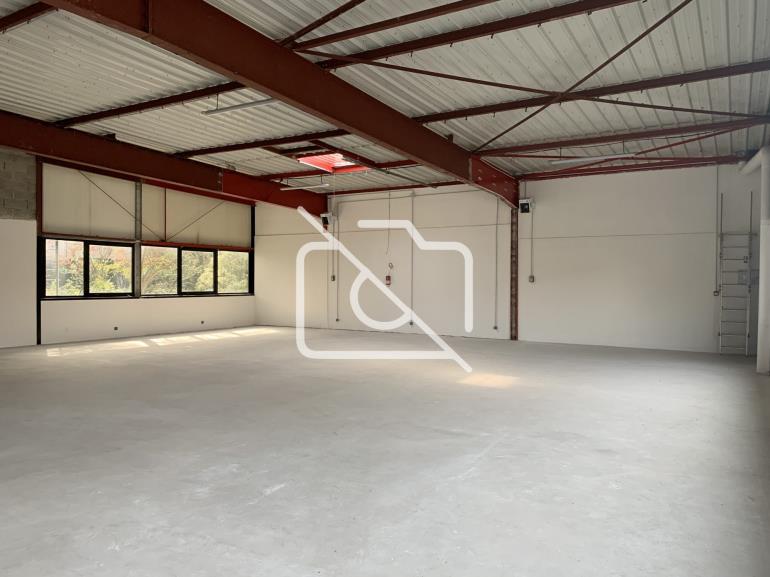 Entrepôt à louer à Villebon-sur-Yvette - 567 m²