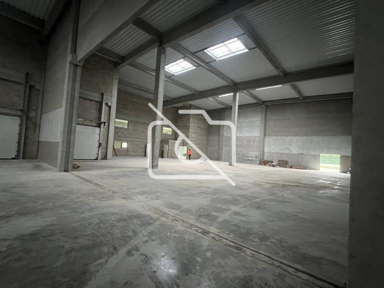 Entrepôt à louer à Moissy-Cramayel - 2 600 m²