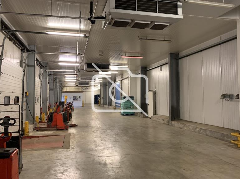 Entrepôt à louer à Lieusaint - 3 548 m²
