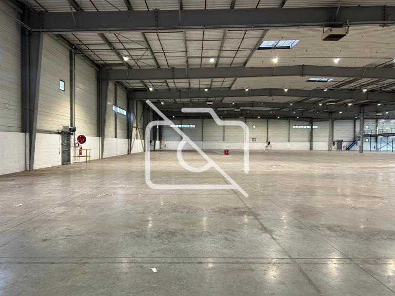 Entrepôt à louer à Wissous - 6 190 m²
