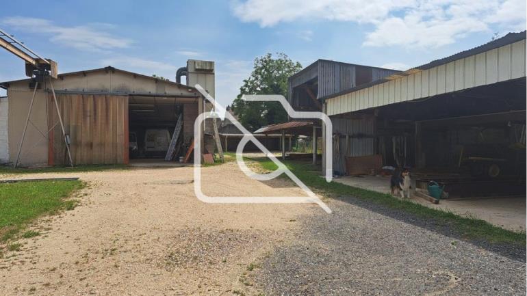 Entrepôt à vendre à Draveil - 510 m²