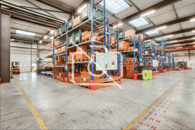 Entrepôt à louer à Bailly-Romainvilliers - 3 300 m²
