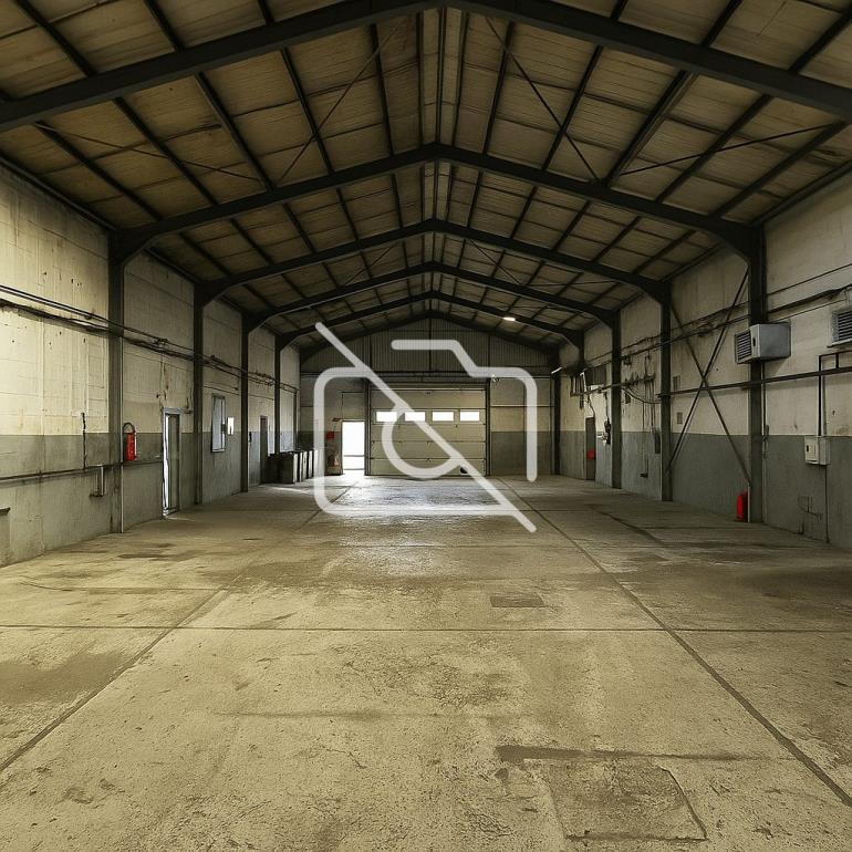 Entrepôt à vendre à Morsang-sur-Orge - 1 233 m²