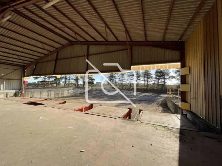 Terrain à vendre à Thiverval-Grignon - 54 250 m²