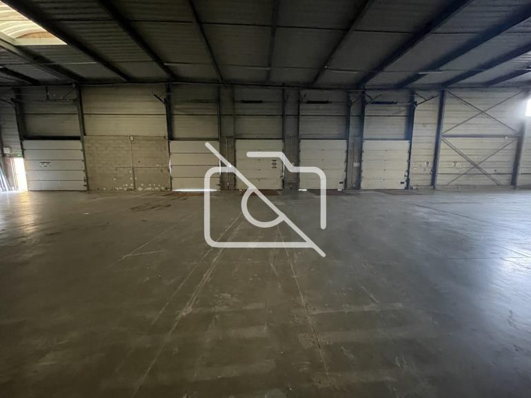 Entrepôt à louer à Égly - 2 826 m²