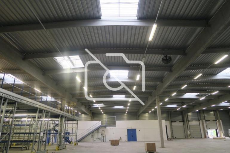 Entrepôt à louer à Lisses - 3 167 m²