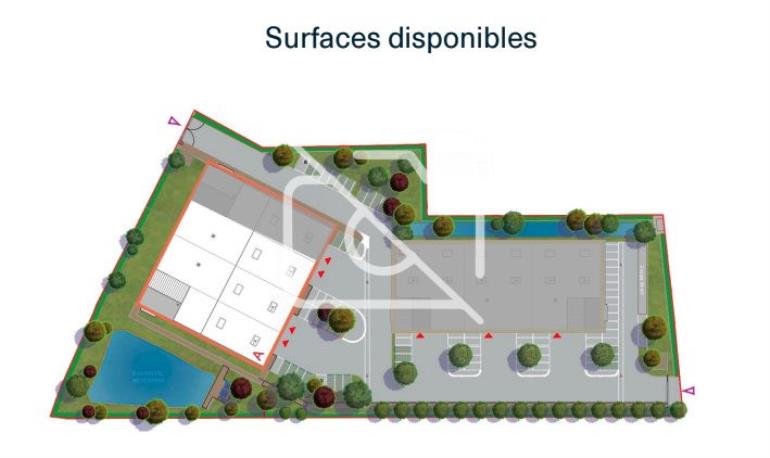 Entrepôt à vendre à Montgeron - 1 804 m²