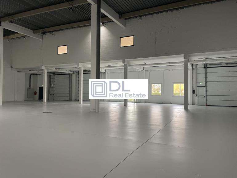 Entrepôt à louer à Villeneuve-d Ascq - 1 816 m²