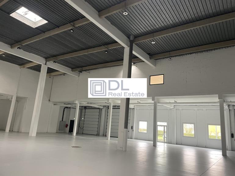 Entrepôt à louer à Villeneuve-d Ascq - 1 816 m²