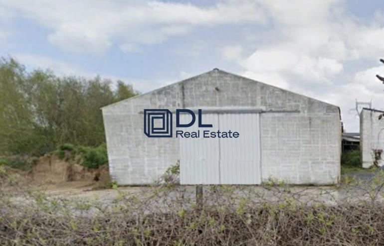 Entrepôt à louer à Gondecourt - 900 m²