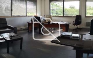 Entrepôt à louer à Tigery - 232 m²