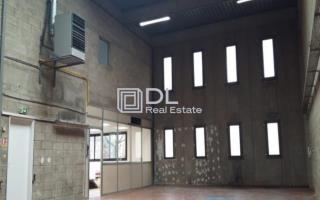 Entrepôt à louer à Collégien - 308 m²