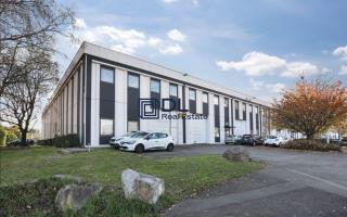 Entrepôt à louer à Villeneuve-d Ascq - 1 816 m²