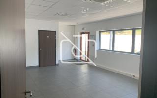 Entrepôt à louer à Palaiseau - 707 m²