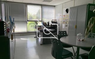 Entrepôt à louer à Villebon-sur-Yvette - 6 806 m²