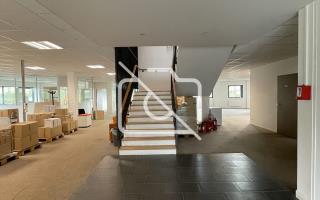 Entrepôt à louer à Montigny-le-Bretonneux - 2 361 m²