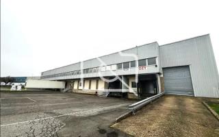 Entrepôt à louer à Sucy-en-Brie - 10 463 m²