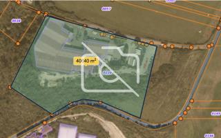 Terrain à vendre à Thiverval-Grignon - 54 250 m²