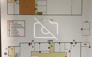 Entrepôt à louer à Vitry-sur-Seine - 1 200 m²