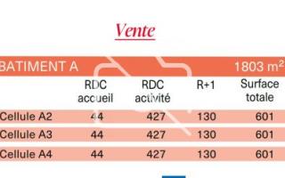Entrepôt à vendre à Montgeron - 601 m²
