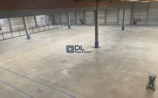 Entrepôt à louer à Saint Thibault des Vignes - 5 023 m²